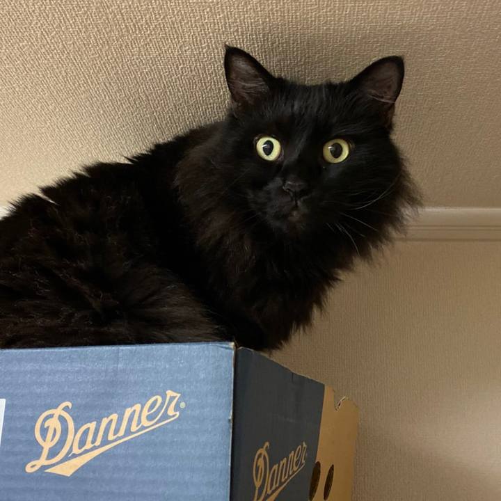 D842c9c7 cfc0 463f 9a36 8af24f0d0248 1575426817214