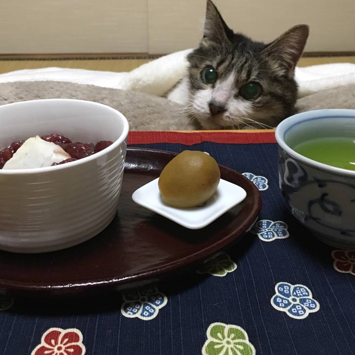 D842d1a1 87e9 4f6e 98a1 255e6ffd0573 1516454682221