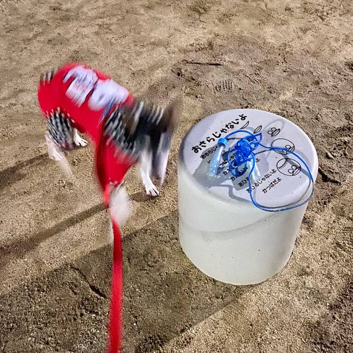 D842d806 8d4e 41c6 9fb8 d223e1ed5009 1610574554287