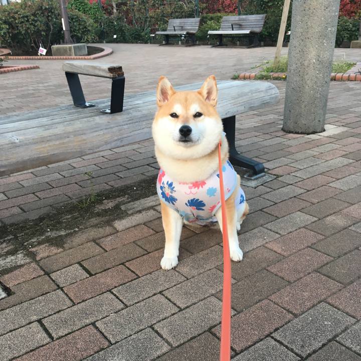 D842edea 9fca 44c7 951c 9f35e0ad1e2b 1555324864487