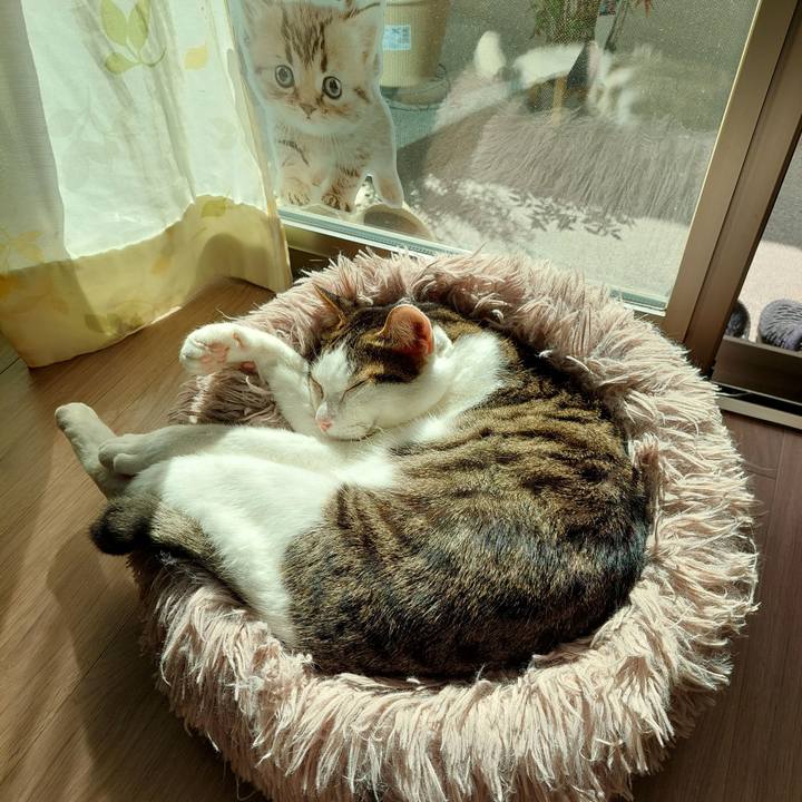 D842f610 23fa 40c0 8761 c927229ab838 1728867476791