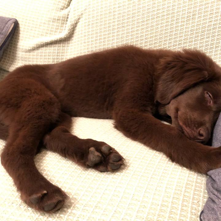 D842fa00 8727 4a92 9523 60a3adcd98d2 1553942250019