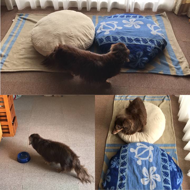 D8431e97 5ba9 4d61 85eb 31d5eaf04303 1510373961445