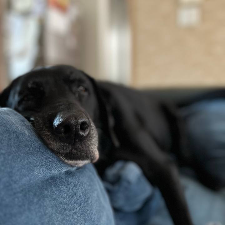 D8433c42 57b7 4fbc 8863 db325f6aa52b 1729380956346