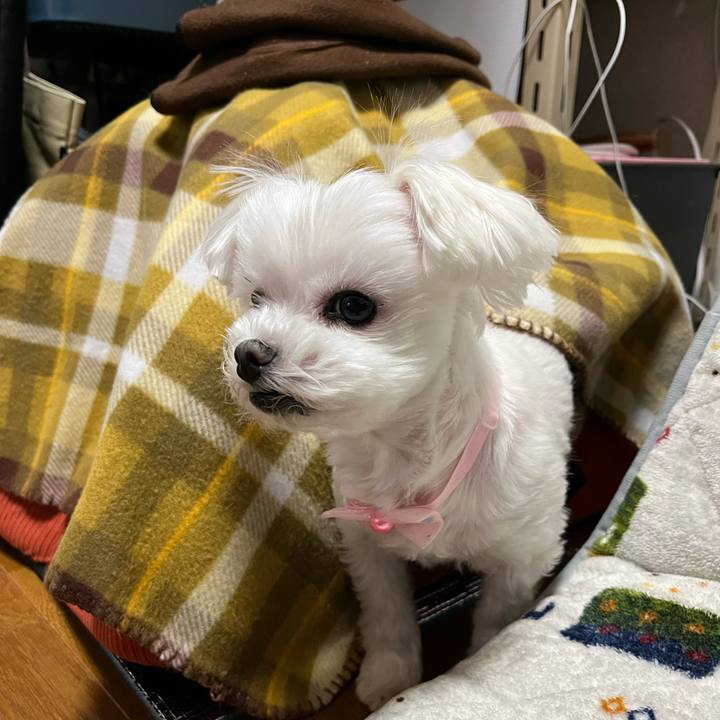 D8434cfa 06e9 45bb 9997 aa2c80116a38 1711695350969