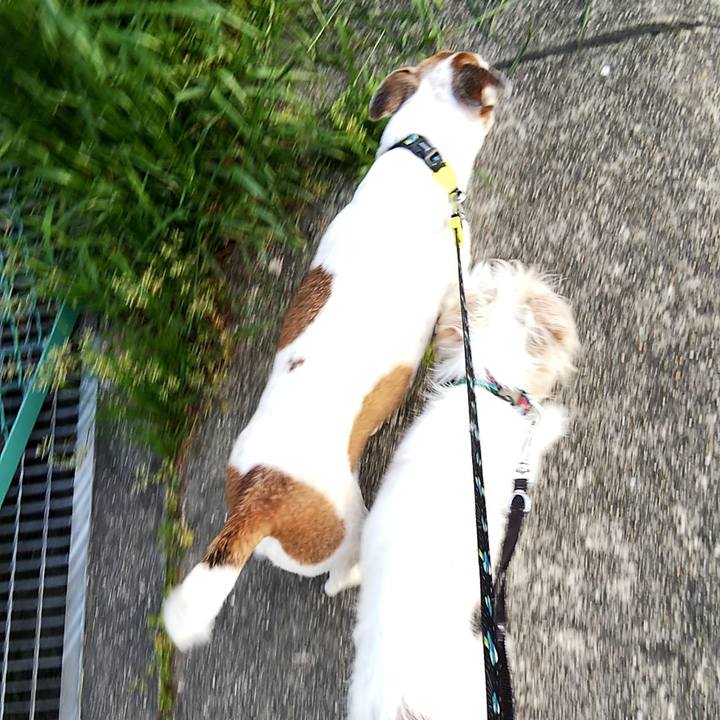 D843617c 969a 4c51 8497 83f8af03b39f 1557061632798