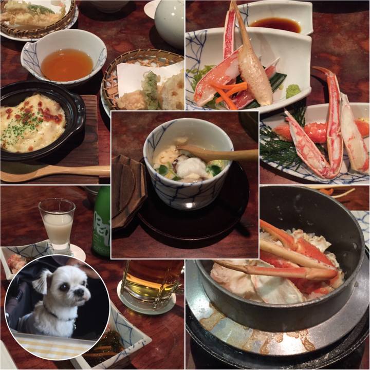 D8436ea9 3784 4ccb b24e f3f18d0ee9f8 1546506968458