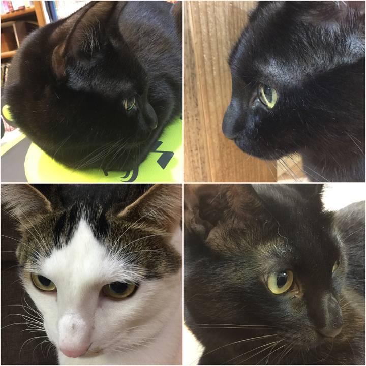 D84384a6 f77a 41f0 9699 fbedba6805f3 1515854355605