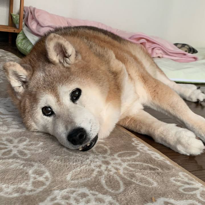 D843b81a e402 414a aae7 fc9110d726a3 1667636109296