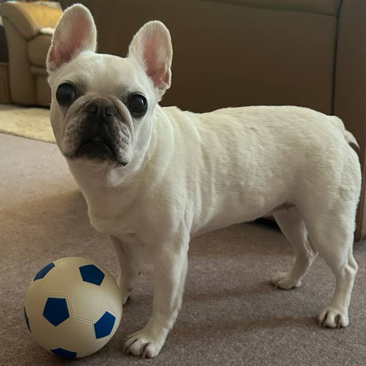 D843e679 3f0b 4a7b b38c 511f26d39583 1722824621337