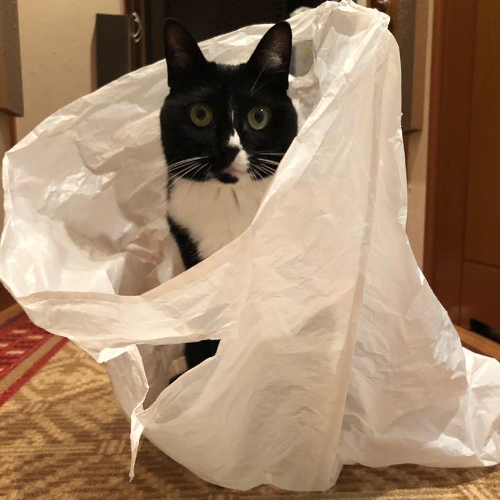 D843eeca a88e 413f ad1c 1dced111b030 1551414695928