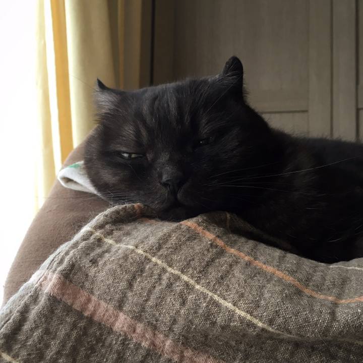 D8443c6d 1e6c 48a2 9932 086152b4fdf9 1558237334913