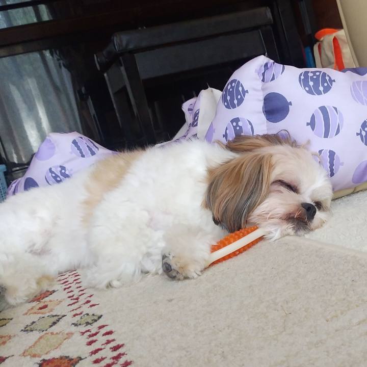 D844496f c627 46e2 8cf7 c8e8975ba9e4 1569545635236