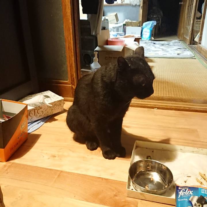 D8444aee ef87 4b74 ad51 4472901b3159 1628339931030