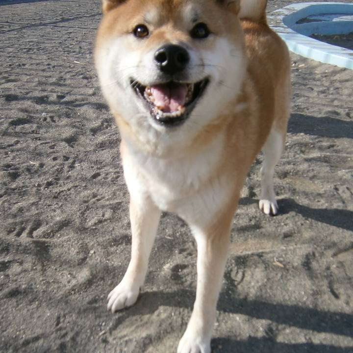 D8445447 873b 487d a1a8 72641f96d1df 1668479955151