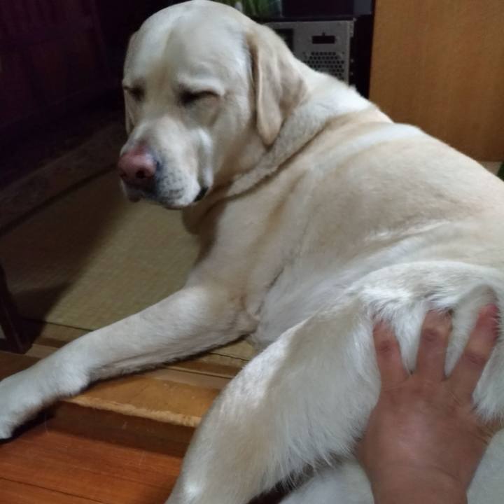 D844a505 8af1 48d4 9994 e5307ab04048 1553861347163