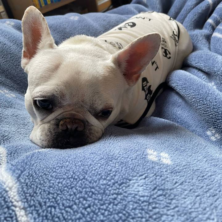 D8451933 0b5c 4b24 b6f1 22f439081bf4 1745371188910