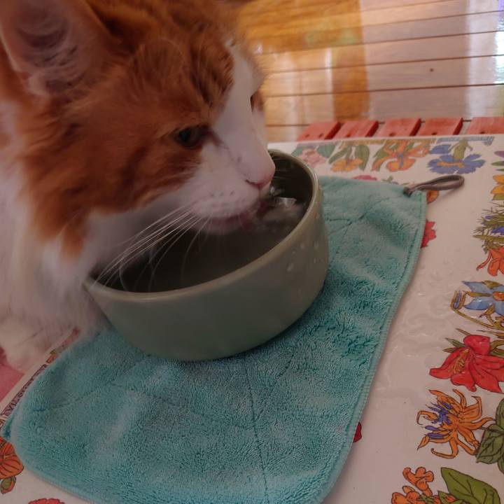 D8452717 a55d 42c2 b6b2 1bb32ab7a3e0 1627104979706