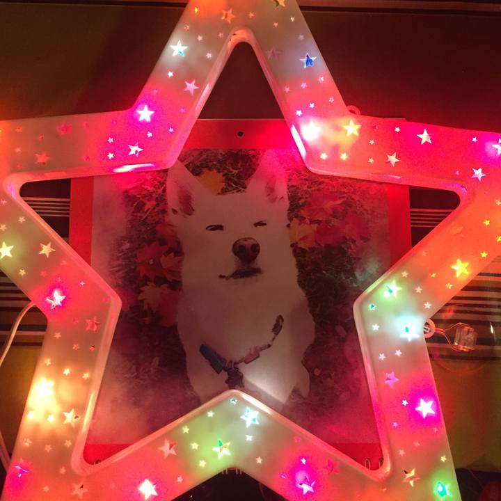 D8453854 e3f3 406d 94e8 736ff08df0f2 1512913664781