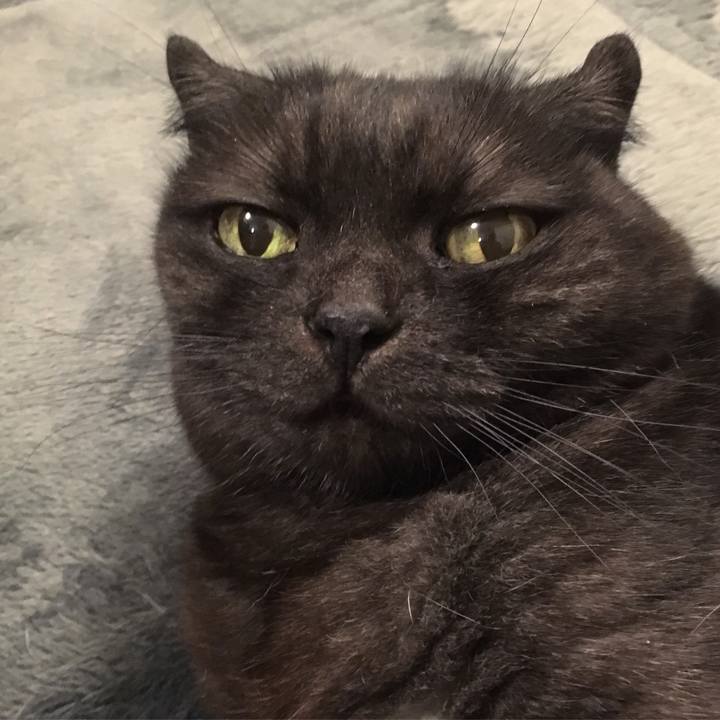 D84566e1 036a 4fd4 85d5 c674ca95f806 1563553668231