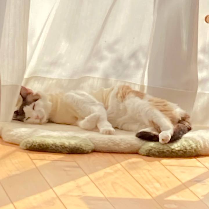 D84569c7 8cb3 4d6d 8c53 dee2d7316dbf 1677478597859