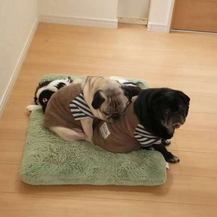 D8459394 694d 4a03 9325 1471bb101669 1574261937098