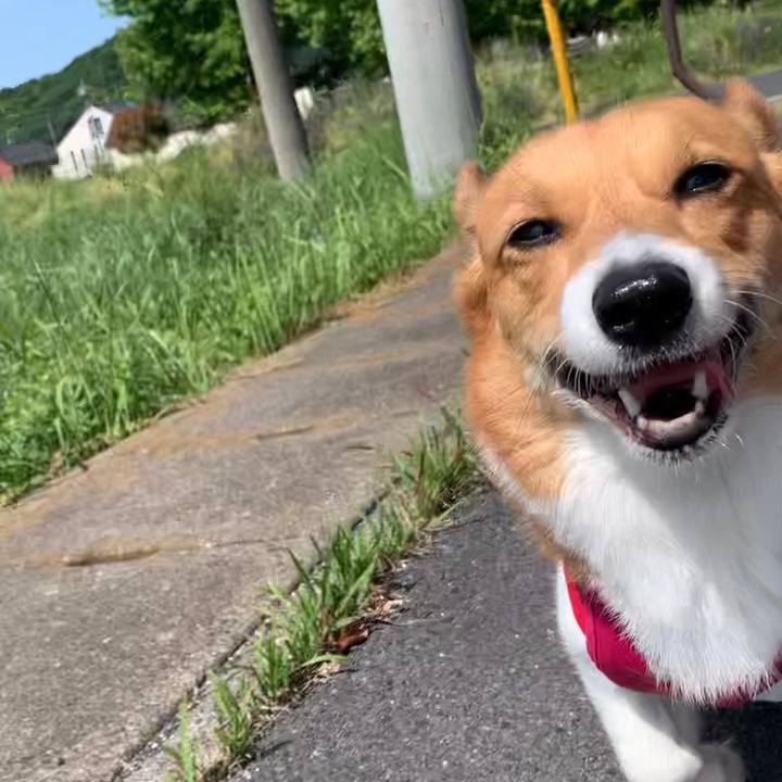 D8459cf8 2fb7 4e7e 813d 52eb11f081fc 1651978508698