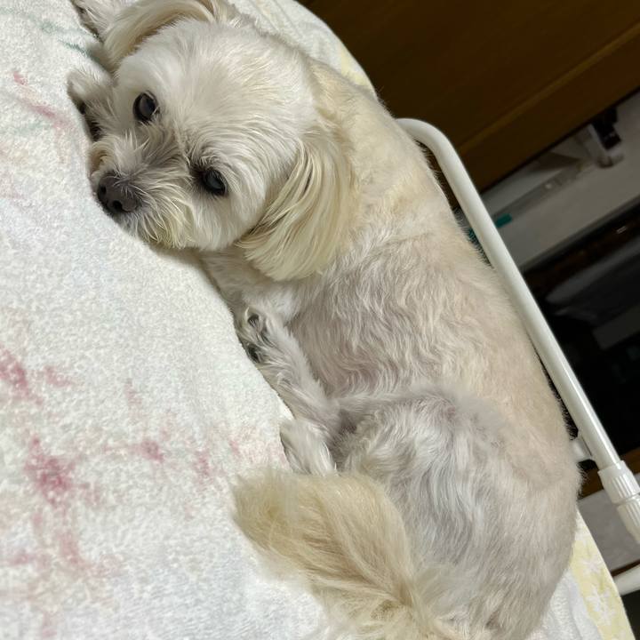 D8460313 5a27 4793 9552 b744f85af405 1664886329504