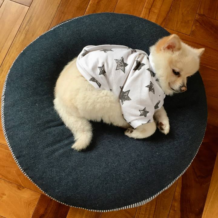 D8461a0b f871 4dbd 83ca 8630846e8619 1602155928571