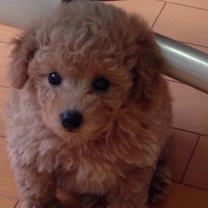 D84627be 77c6 44e9 bc4a 134935f64611 1528285644698