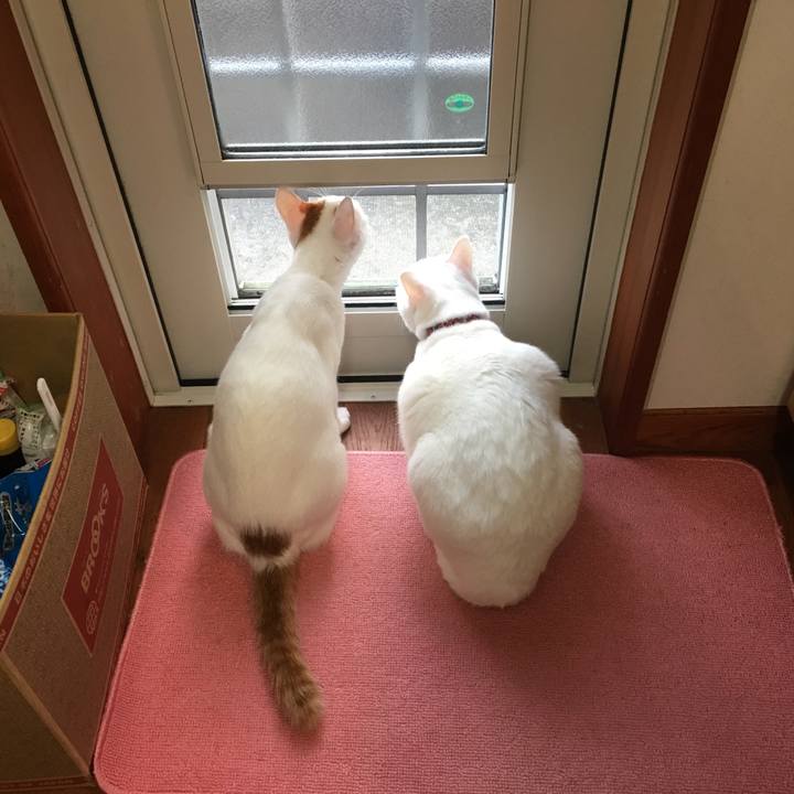 D846592b da01 473d b0b0 dd2a64512eed 1510203198262