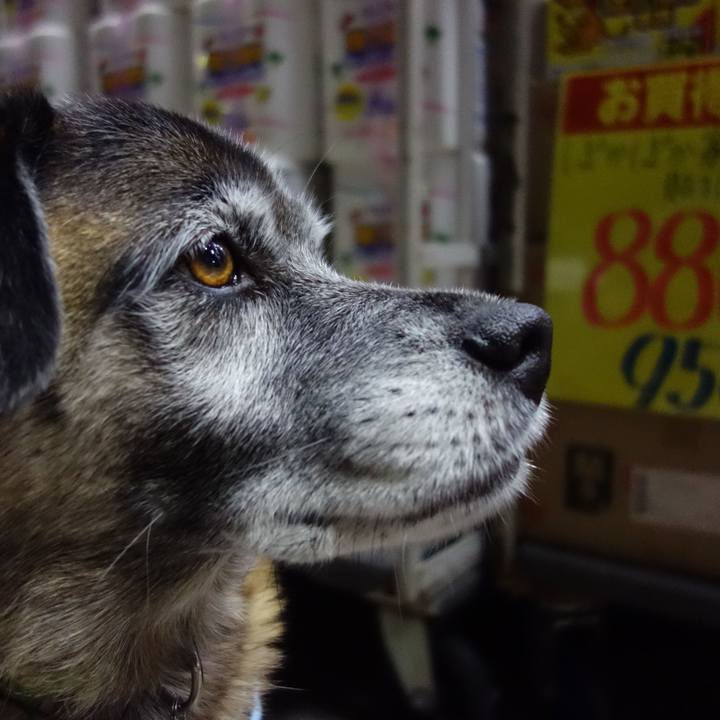 D8469206 073d 42b7 9f5b 5d7b3aef9488 1621297925761