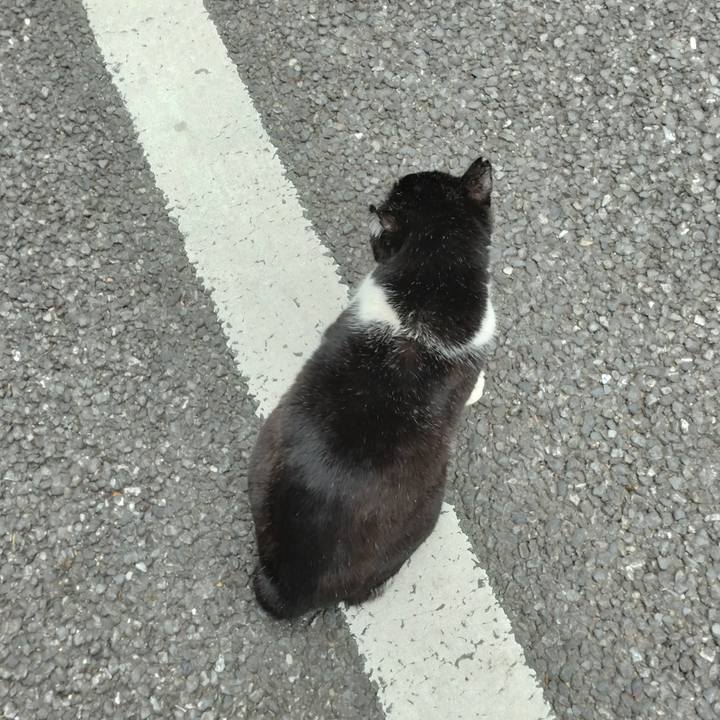 D846998b 2e82 4173 9f96 99a9bd19ea28 1705619808196