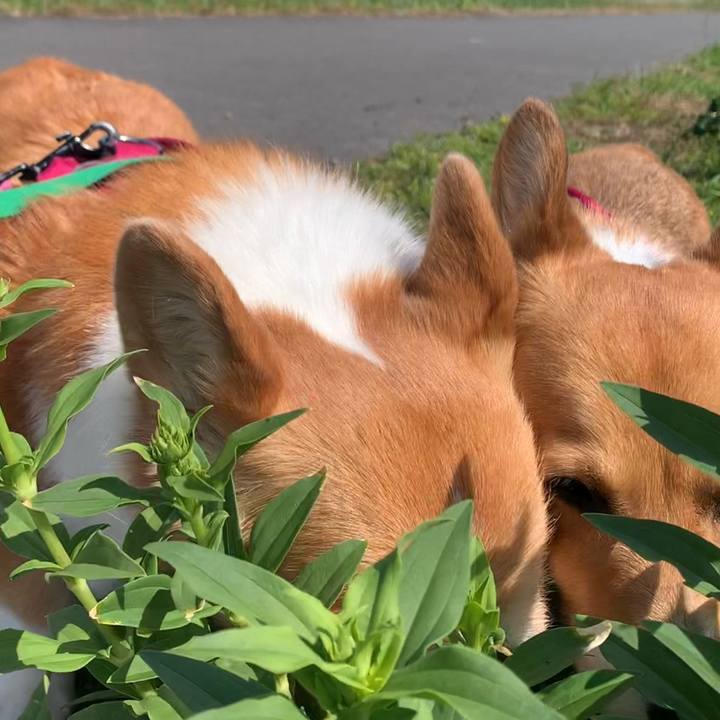 D846a098 f291 4e43 bd8c 4584b2eee850 1684284183811