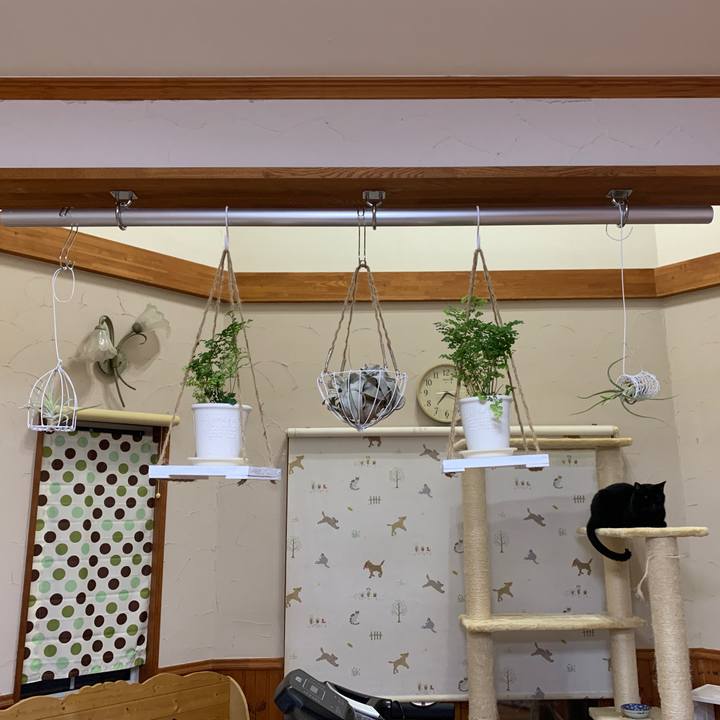 D846b787 6259 46ce 862d 095c0126f02e 1651573209248