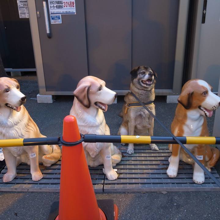 D846dd0f ebf5 478e 8eda ed6910f605b0 1587114059759