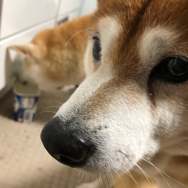 D846e6e4 66b2 4abe a002 4bc2b233c784 1547032566189