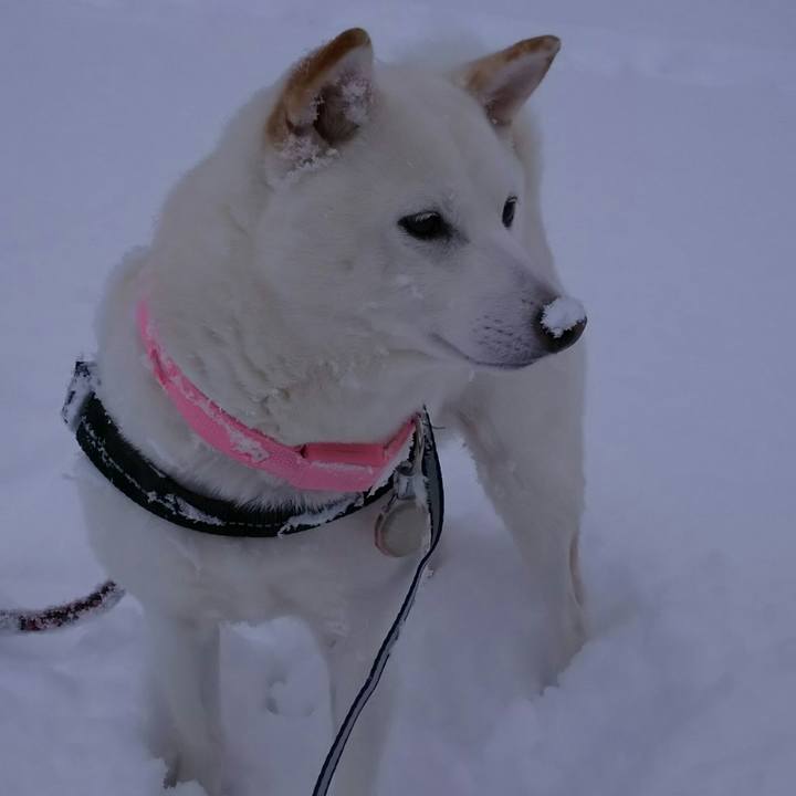 D846e923 192d 441e ad31 6d0f71cb2d11 1518424276140