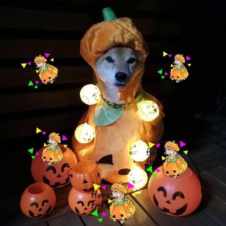 D847611f 91cf 4110 84f3 a8bf44007a89 1632573790924