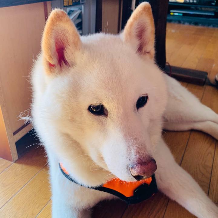 D8478c1b 153b 42e0 adc5 6c9c0e3eb779 1615609084604