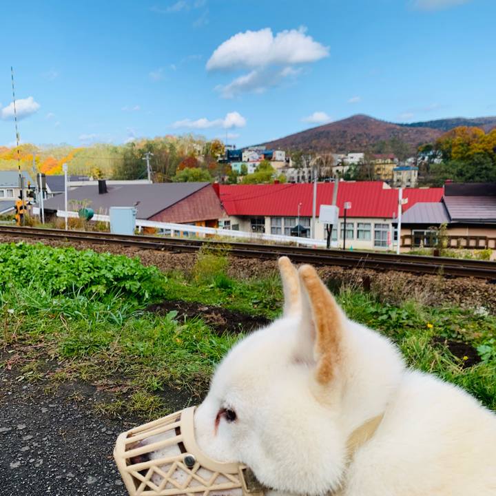 D847d782 3560 408e 9746 290714b651c5 1604108525860