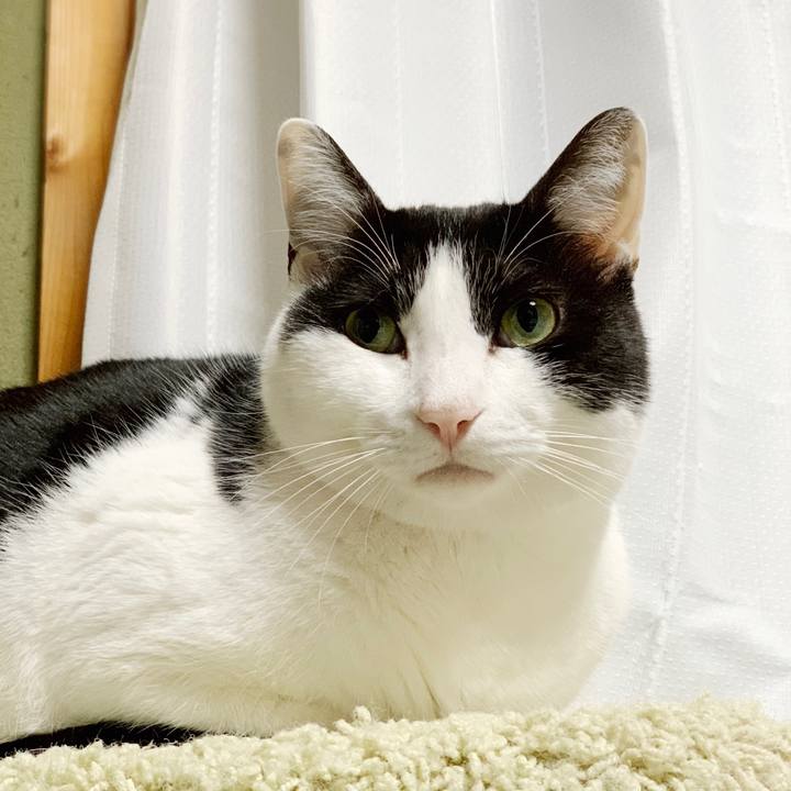 D8480aa3 b95c 4db4 aaf1 67fc5671b977 1552357751419