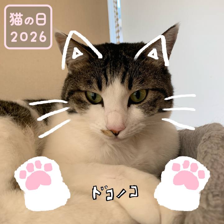 D84817dd 07f6 4ace a430 a2e2ed2a9a95 1771798938644