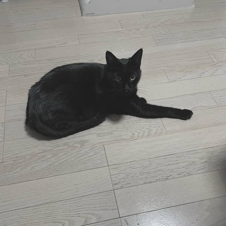 D84842f3 9ad5 4a90 a180 8028ca434737 1761742336959