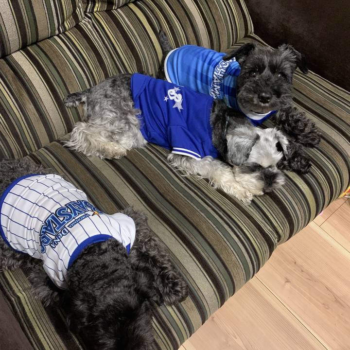 D848856c 468c 41d2 880d b7f40f94568d 1593262087330