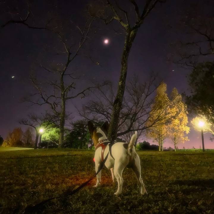 D84889dc d988 4052 aac6 bfc89a95cfd5 1544652898889