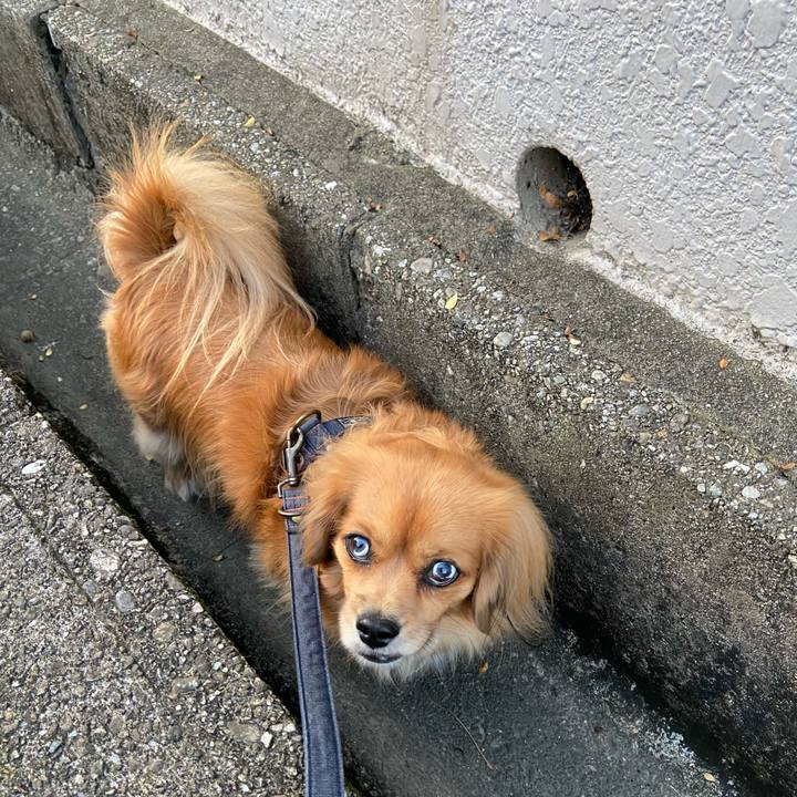 D8489998 787b 4ce5 8016 4f1b6a8d18ff 1573077697561