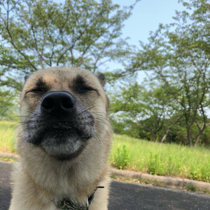 D848b52f ea90 4463 88e2 56a15f68e62d 1598087904509