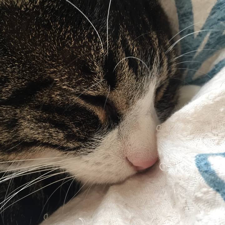 D848e3b2 eac8 42a4 b148 47bbc3382fd1 1513484072955