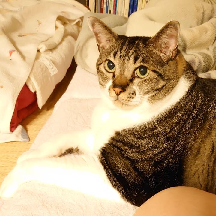 D848e6ec 634d 475e 9440 502ae0dc19cc 1593728407640